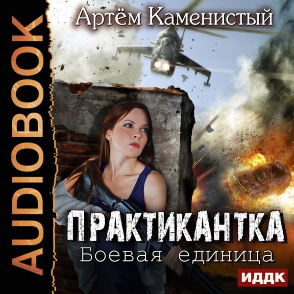 Каменистый Артем - Практикантка